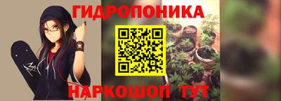 Альфа ПВП Гусев