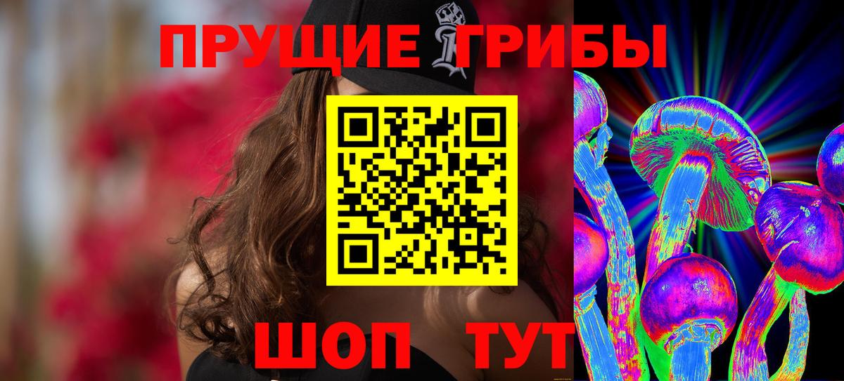 Нефтекумск  Псилоцибиновые грибы Psilocybine cubensis  Галлюциногенные грибы прущие грибы  Вход с VPN 