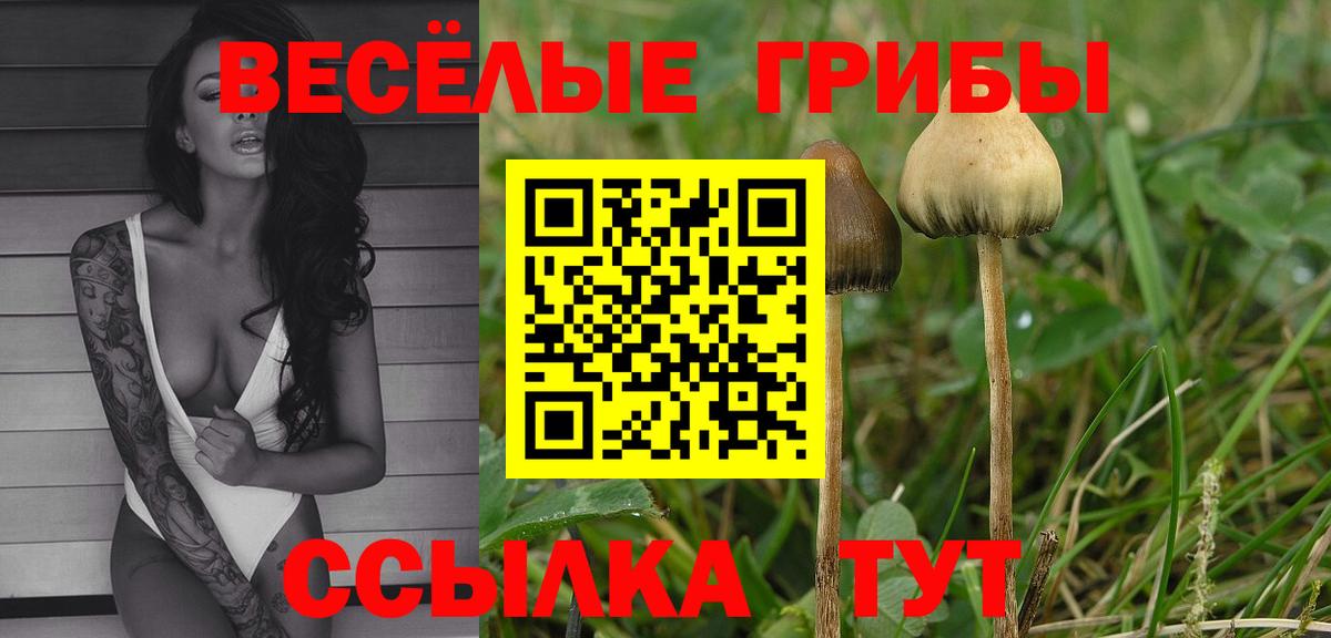 Меф Нефтекумск